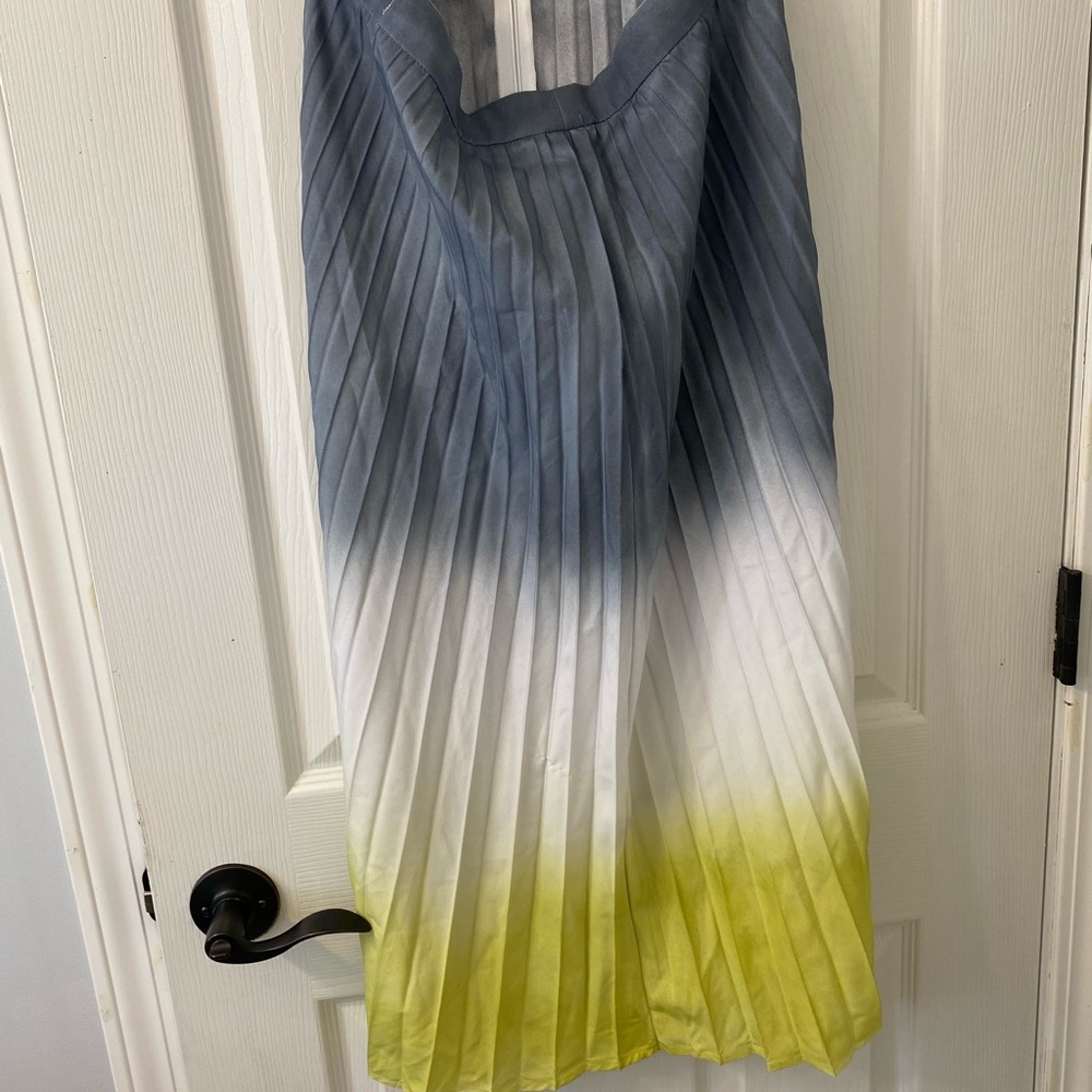 Ombré Skirt